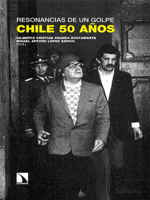 cover image of Resonancias de un golpe
